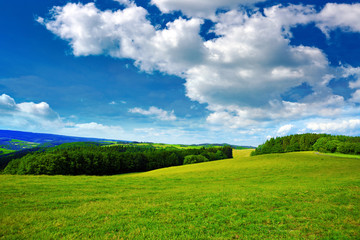 Summer landscape with field and clouds.