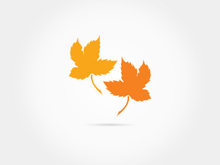 Fototapeta premium Orange Maple leaves 