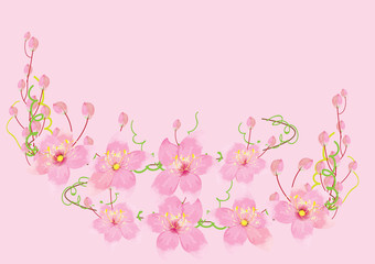 pink flowers on pink background,vector illustration
