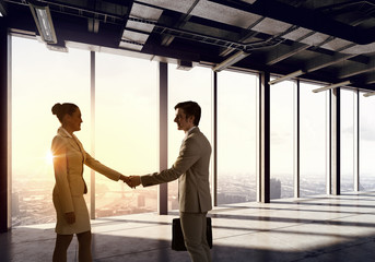 Fototapeta na wymiar Business partners handshake