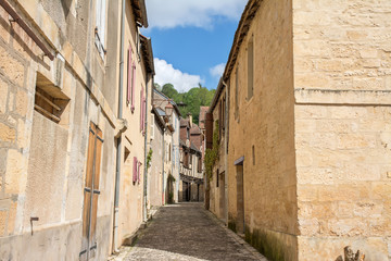 Fototapeta na wymiar ruelle pavée et maisons dans village du périgord