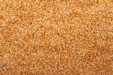 orange lentils in abundance