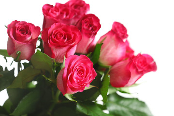 Bunch of pink roses isolated on white