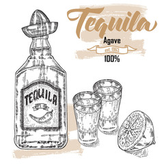 Bottle of tequila drink. Hand drawn two glasses of tequila. 