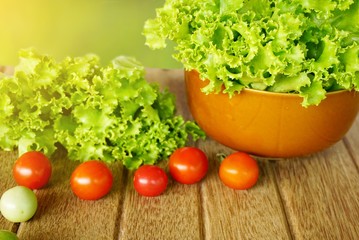fresh green lettuce salad and tomatoes on wooden with green nature , healthy concept background 