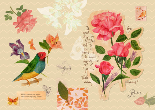 Vintage style collage postcard with drawings of roses and butterflies - Powered by Adobe