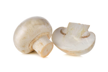 Champignon mushroom on white background