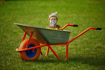 cute little boy sitting in wheelbarrow