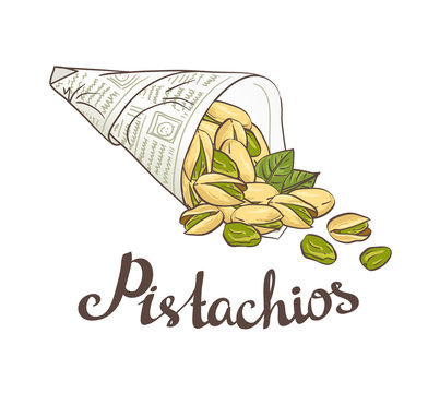 Bundle of newsprint with roasted pistachio nuts. Hand drawn vector poster