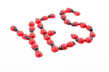 YES word with wooden ladybug