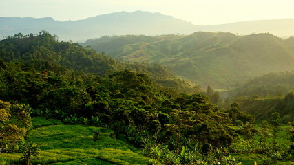 weite Aussicht in grüne, tropische Landschaft im Morgenlicht in Java mit strukturierten Bergen