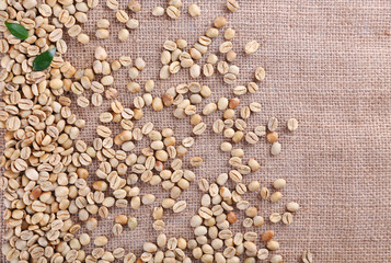 Green coffee beans on sackcloth material.