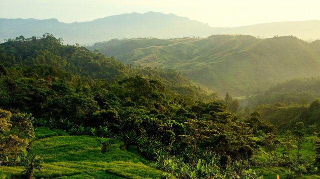 weite Aussicht in gr&uuml;ne, tropische Landschaft im Morgenlicht in Java mit strukturierten Bergen