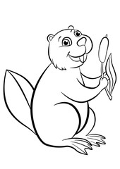 Coloring pages. Animals. Little cute beaver smiles.