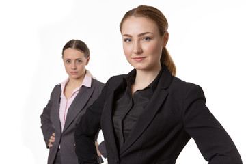 professional business model