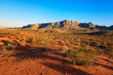 Fototapeta na wymiar Desert over sunset, Valley of Fire State Park, Nevada, USA
