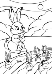 Little cute rabbit stands and holds carrot in the hands.