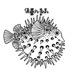 Graphic puffer fish