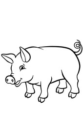Little cute pig stands and smiles.