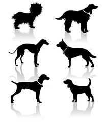 Vet Dog Icons Symbols Set EPS vector