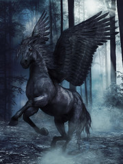 Czarny skrzydlaty koń w ciemnym lesie nocą