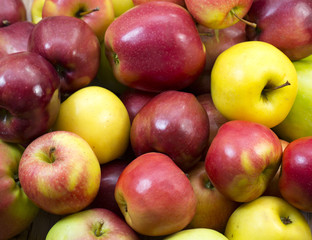 background of ripe juicy multicolored apples