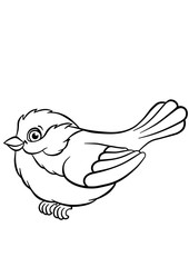 Little cute titmouse sits and smiles.