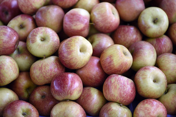 Apple variety Gala exposed in open-air market stall