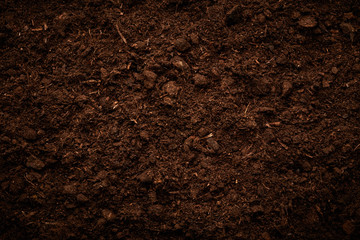 Plakat Soil background