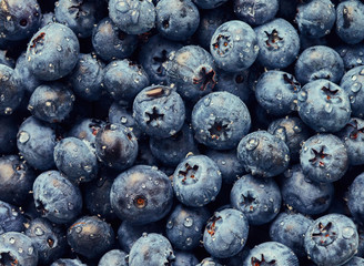 Blueberry with drops of water