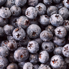 Blueberry with drops of water