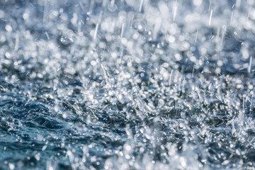 Obraz premium rain close up in detail