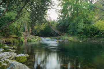 Stream Running Through the Forest