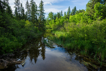 Fototapeta premium First meters of Mississippi river, just below the headwaters at Lake Itasca