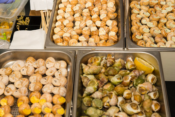 Variety of different stuffed snails on display