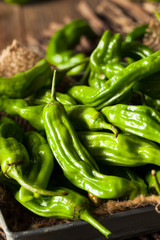 Raw Organic Green Shashito Peppers