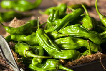 Raw Organic Green Shashito Peppers
