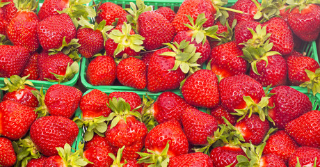 baskets of fresh whole strawberries