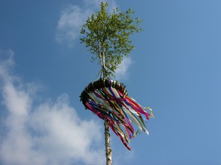 Traditioneller Maibaum aus dem Stamm der Birke mit bunten Bändern im Wind vor blauem Himmel in...