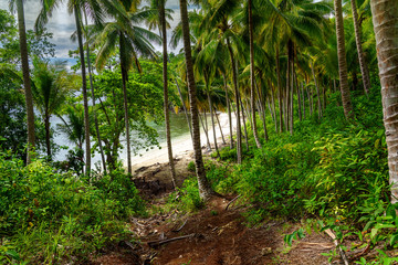 Barracuda beach on Kadidiri island. Indonesia