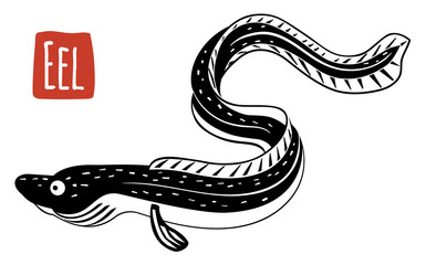Eel, vector cartoon illustration