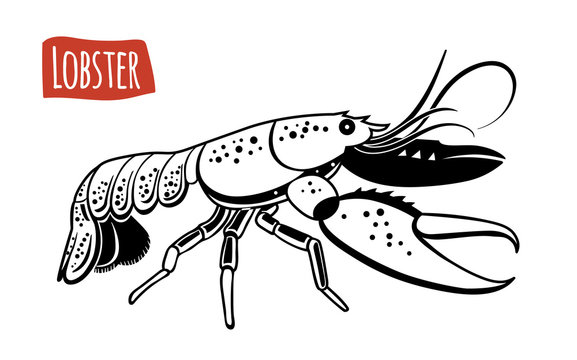 Lobster, vector cartoon illustration