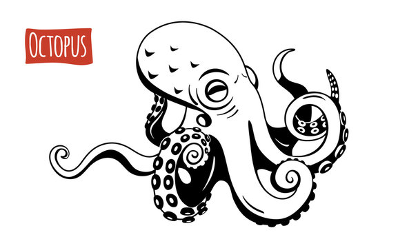 Octopus, vector cartoon illustration