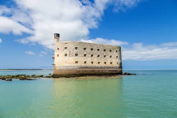 Photo sur Plexiglas Travaux détablissement Voir Fort Boyard à marée basse, France