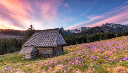 Colorful morning with wooden hut in Tatra mountains, Poland