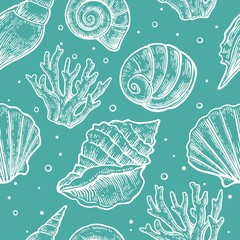 Seamless pattern sea shell.  Vector engraving vintage illustrations