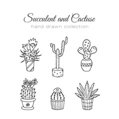 Fototapeta na wymiar Cactus illustration. Vector succulent and cacti hand drawn set. In door plants in pots.