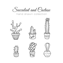Cactus illustration. Vector succulent and cacti hand drawn set. In door plants in pots.