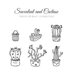 Cactus illustration. Vector succulent and cacti hand drawn set. In door plants in pots.