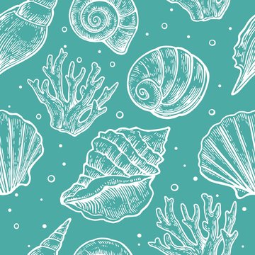 Seamless pattern sea shell.  Vector engraving vintage illustrations